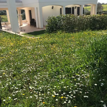 Gesura * Cisternino